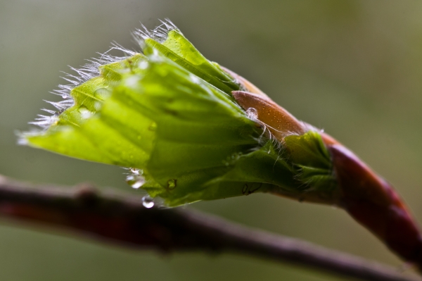 Fruehling in Hohenroth - (c) L Lammers.jpg